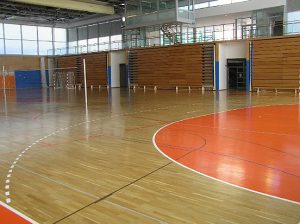 Dvorana Vrbanska